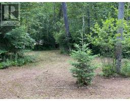 Lot 9 Lower Craigmont Road, Madawaska Valley, ON K0J1B0 Photo 8