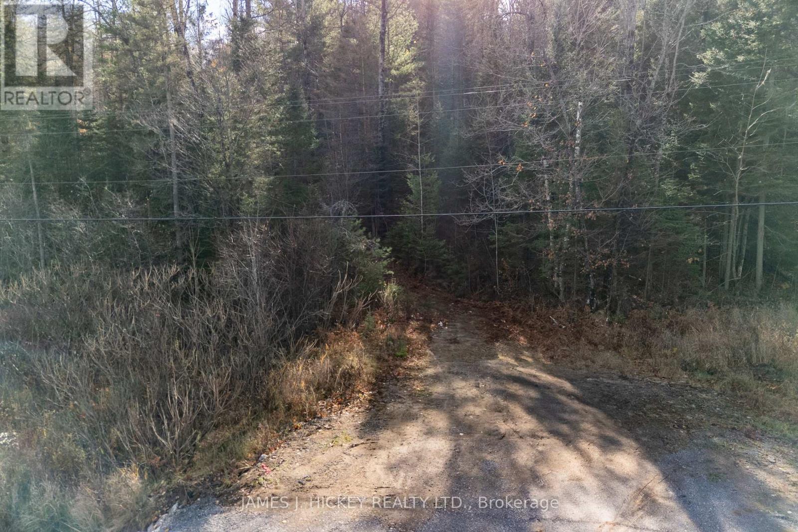 0 Hwy 17 Highway — photo 21