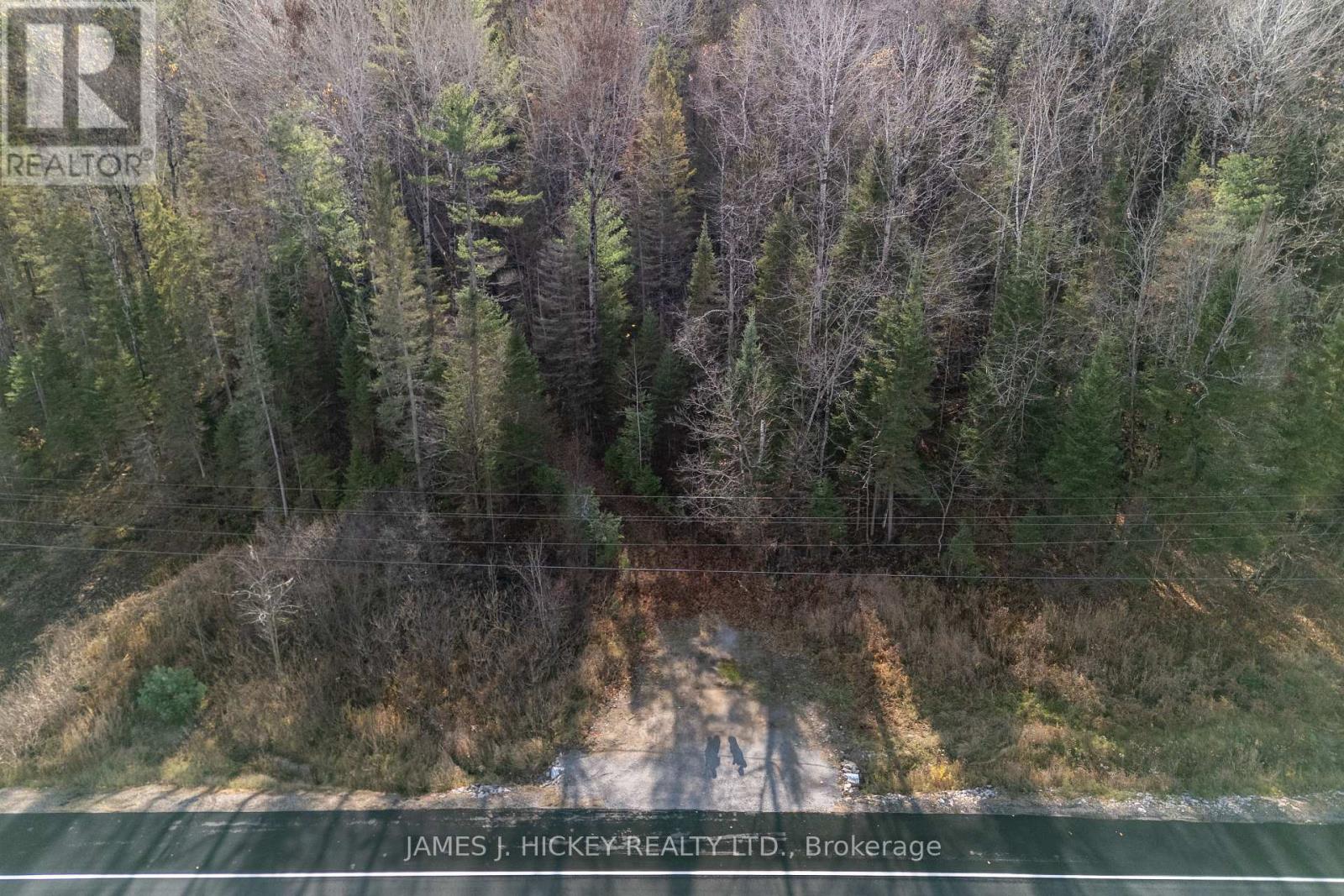 0 Hwy 17 Highway — photo 22