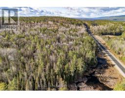 0 Hwy 17 Highway, Laurentian Hills, ON K0J1P0 Photo 9
