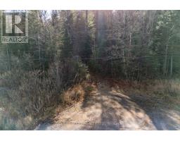 0 Hwy 17 Highway, Laurentian Hills, ON K0J1P0 Photo 7