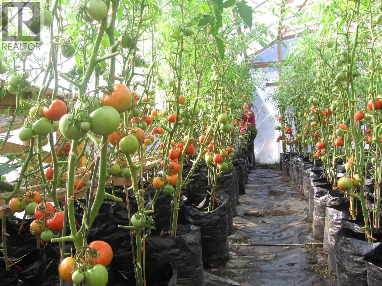 Agriculture in Dawson Creek - Image 3