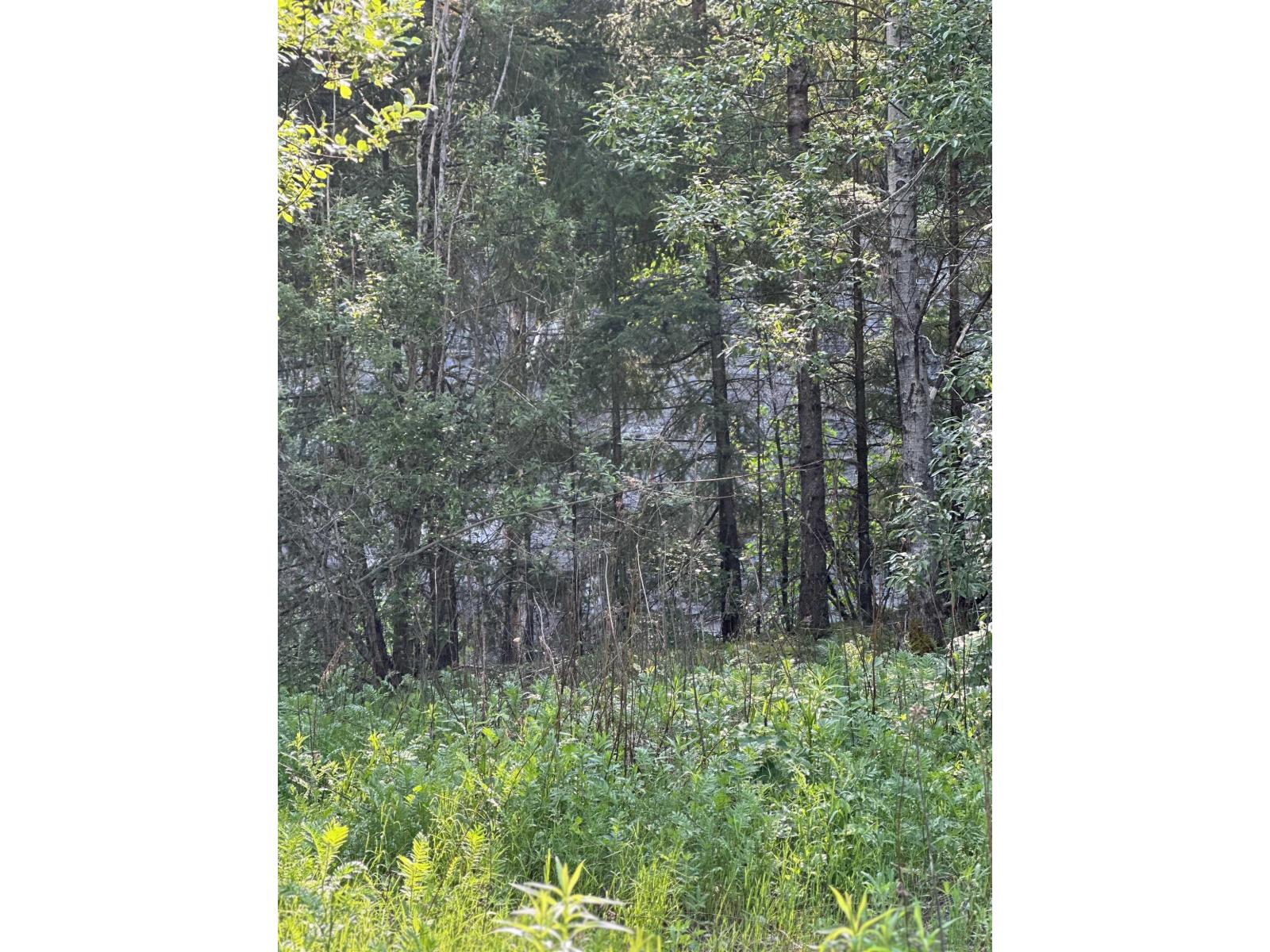Vacant Land for Sale in Hope – 21647 THACKER MTN ROAD, Hope - Image 15