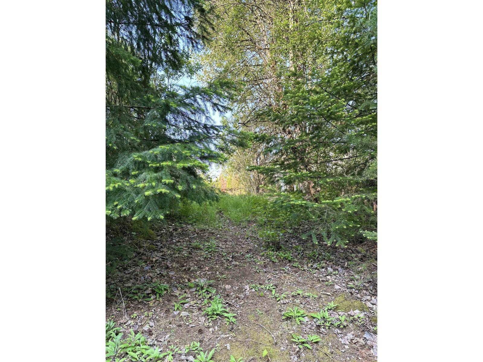 Vacant Land for Sale in Hope – 21647 THACKER MTN ROAD, Hope - Image 6