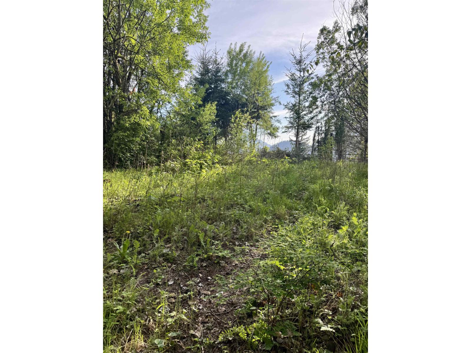 Vacant Land for Sale in Hope – 21647 THACKER MTN ROAD, Hope - Image 13