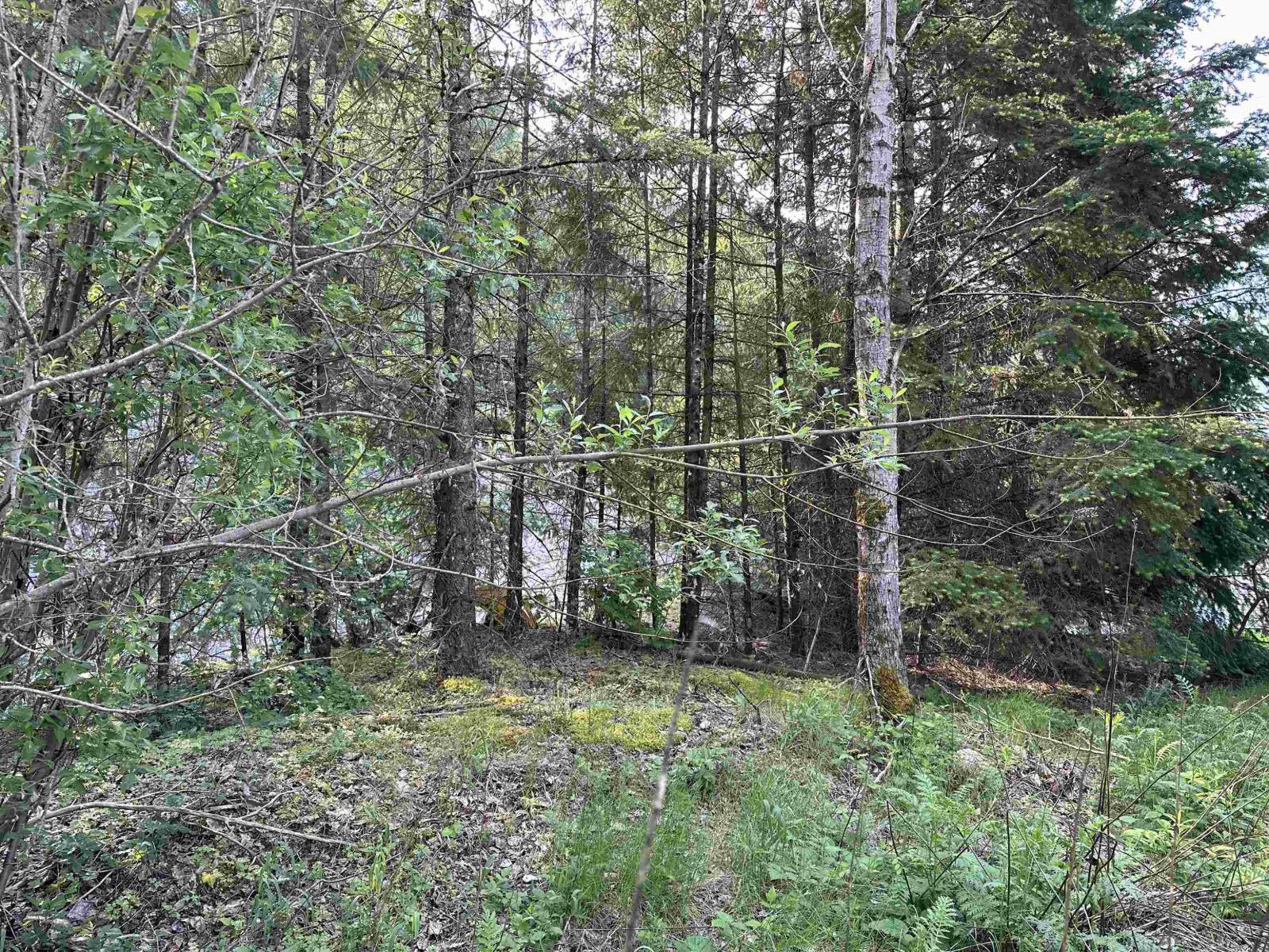 Vacant Land for Sale in Hope – 21647 THACKER MTN ROAD, Hope - Image 11