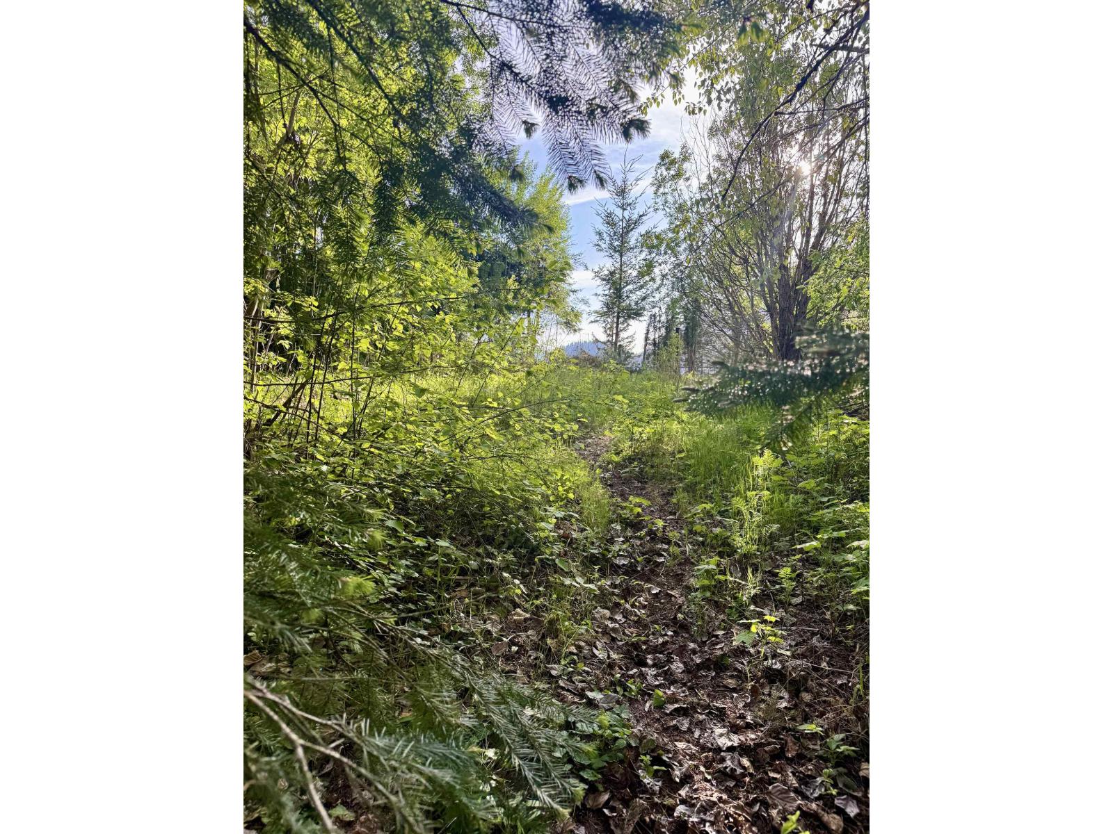 Vacant Land for Sale in Hope – 21647 THACKER MTN ROAD, Hope - Image 3