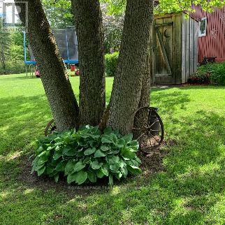 3322 CEDAR GROVE ROAD - 12