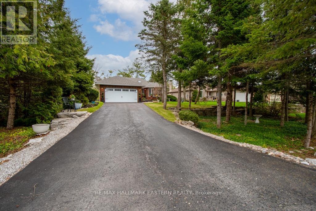 38 PATRICIA PLACE - Image 3