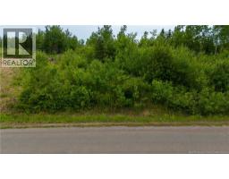 24-3 Route 895, Anagance, NB E4Z1E1 Photo 13
