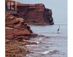 8519 Route 14, Campbellton, PE C0B1E0 Photo 10