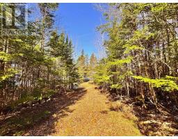 156 Widow Point Loop, West Bay Marshes, NS B0E3K0 Photo 16