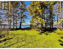 156 Widow Point Loop, West Bay Marshes, NS B0E3K0 Photo 17