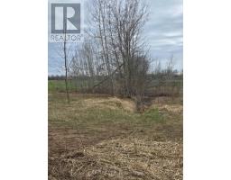 5496 Fairvalley Road, Ramara Road, Ramara, ON L3V0P6 Photo 10
