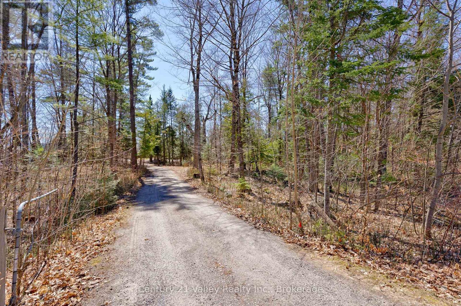 5377 CALABOGIE ROAD - 15