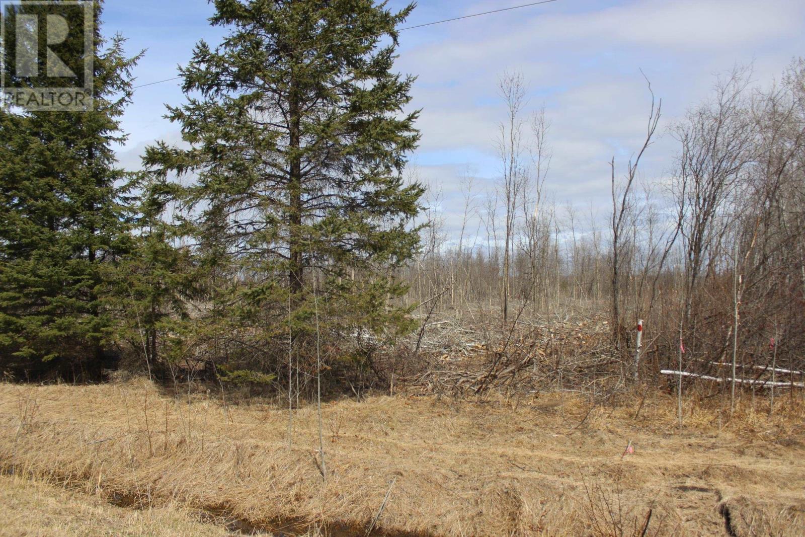 360 RIVER RD, RAINY RIVER, Ontario, P0W1L0 — Photo 24