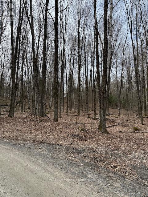0 PROVIDENCE DRIVE, Algonquin Highlands (Stanhope) — photo 3