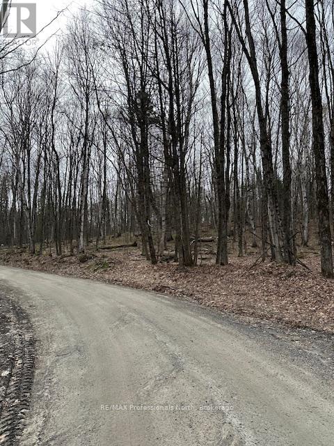 0 PROVIDENCE DRIVE, Algonquin Highlands (Stanhope) — photo 2