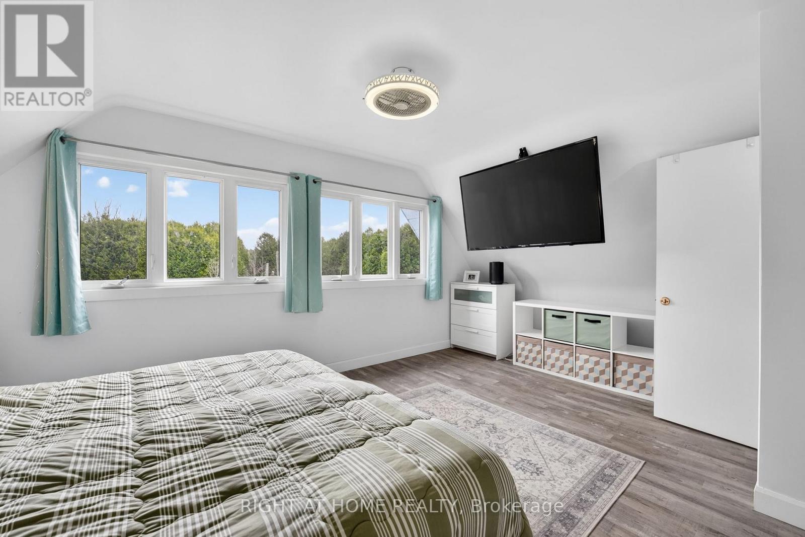 636671 EUPHRASIA-HOLLAND TOWNLINE - 36
