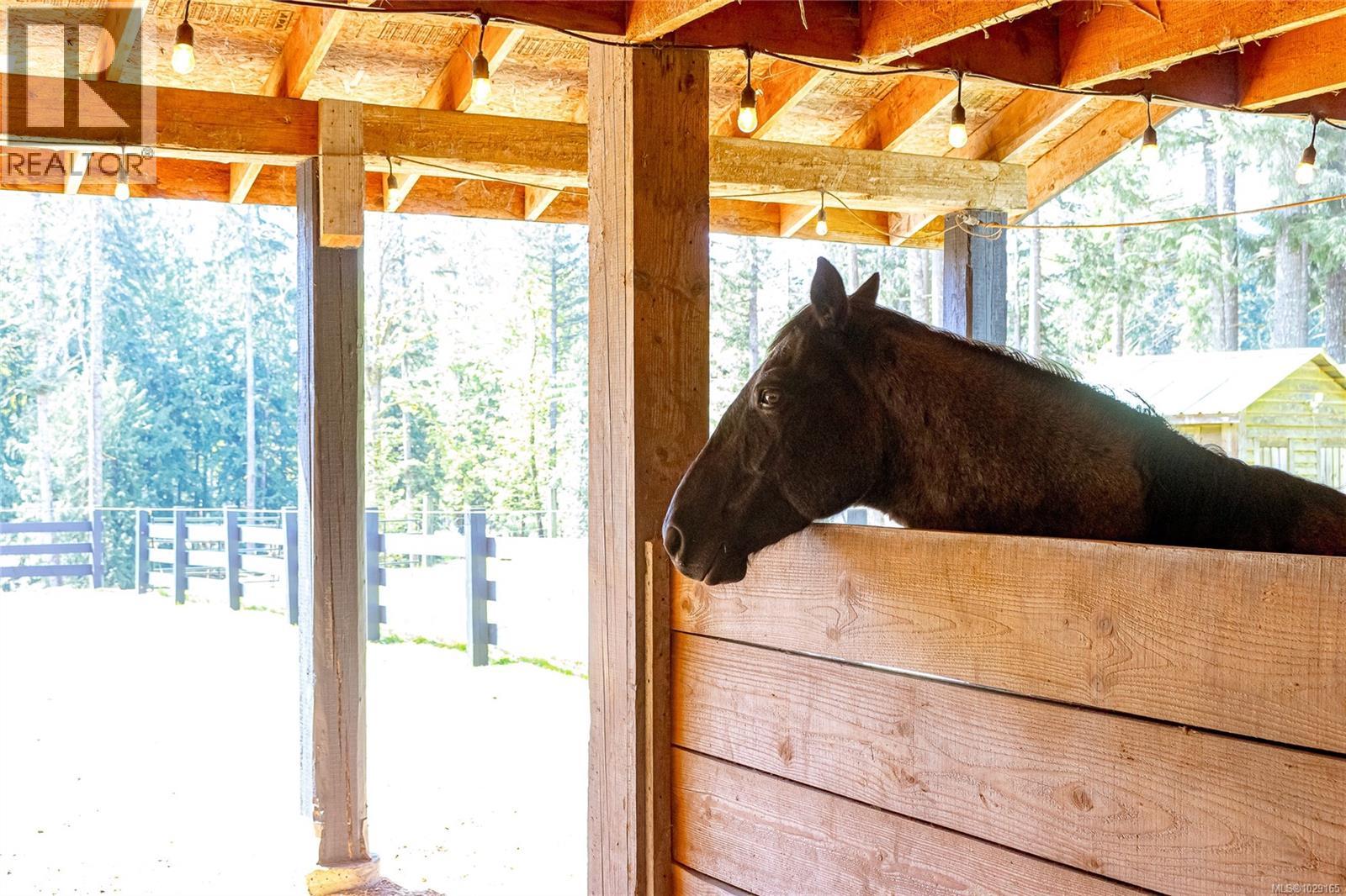 4838 Cowichan Lake Rd - 37