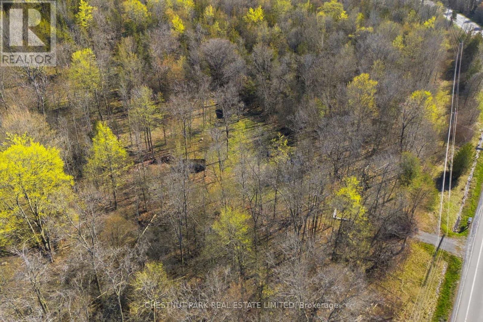 12195 LOYALIST PARKWAY, Prince Edward County (Hallowell Ward), Ontario, K0K2T0 — Photo 15