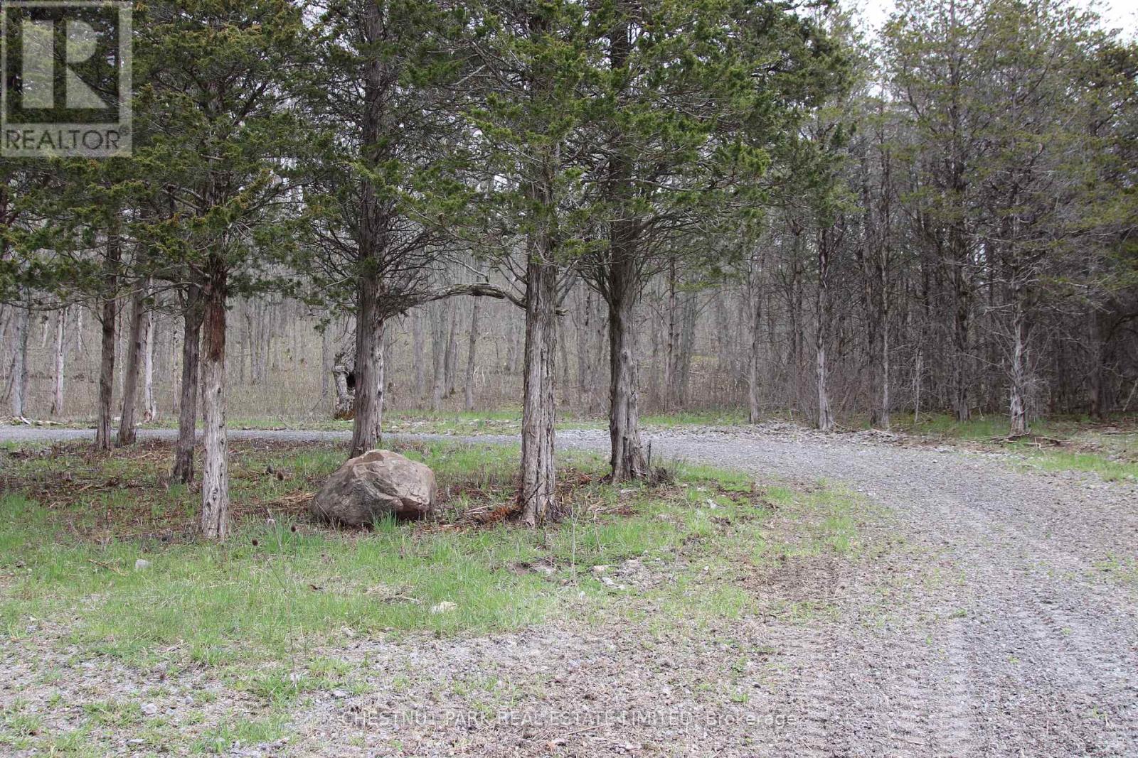 12195 LOYALIST PARKWAY, Prince Edward County (Hallowell Ward), Ontario, K0K2T0 — Photo 32