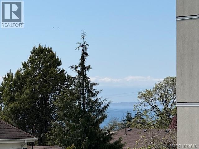 #305 1315 Esquimalt Rd - 27