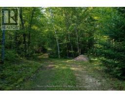 22 Martin Lane, Bonfield, ON P0H1E0 Photo 19