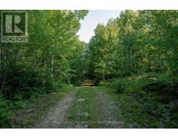 22 Martin Lane, Bonfield, ON P0H1E0 Photo 20