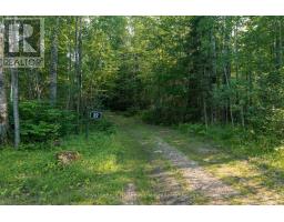 22 Martin Lane, Bonfield, ON P0H1E0 Photo 21
