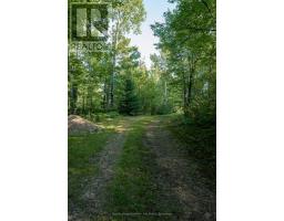 22 Martin Lane, Bonfield, ON P0H1E0 Photo 22