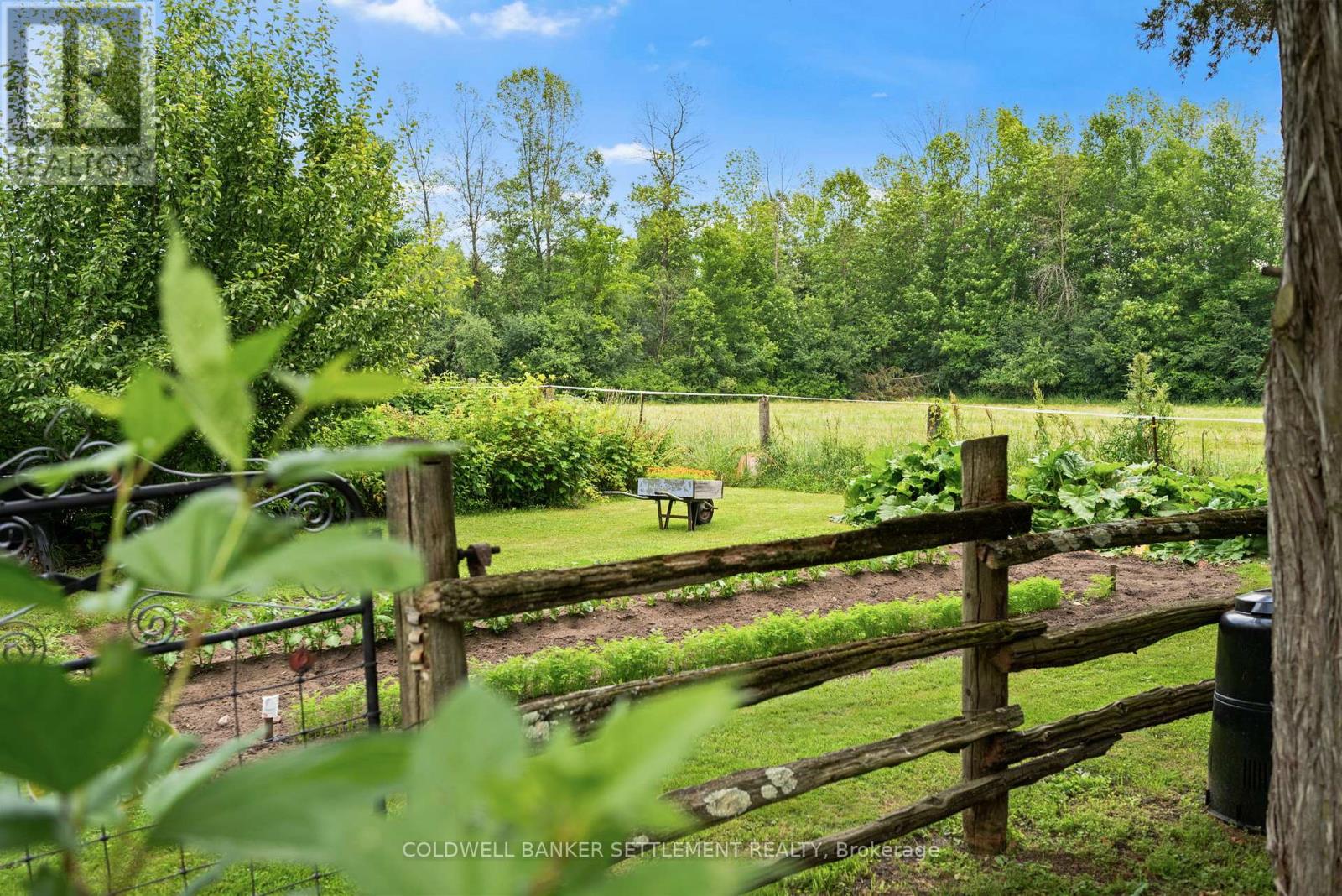 394 ELLIOTT ROAD - 14