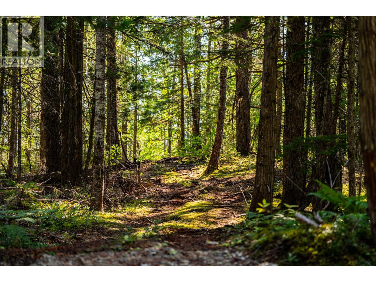 1750 Highway 23 South Highway S, Revelstoke