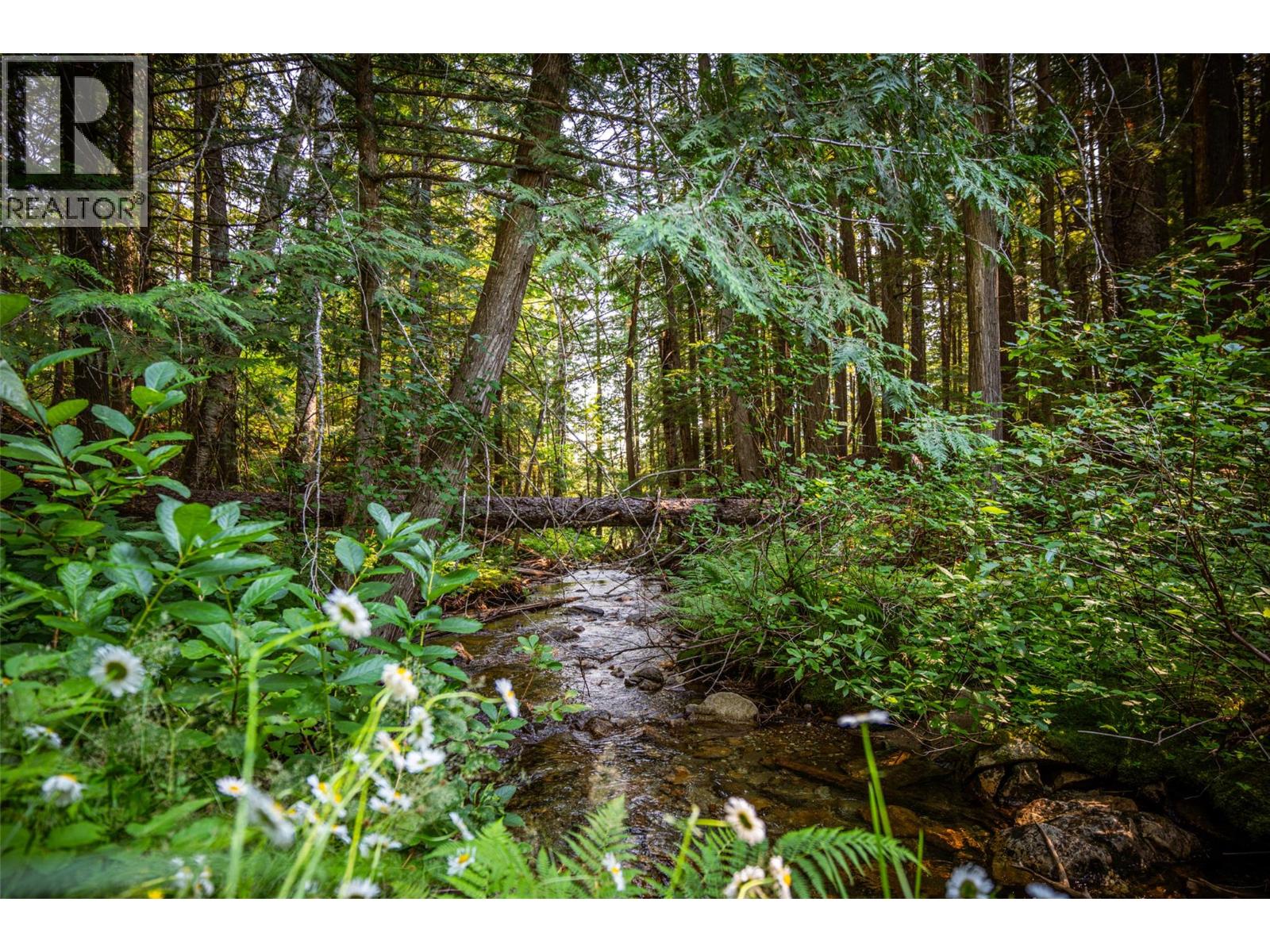 1750 Highway 23 South Highway S, Revelstoke