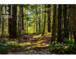 1750 Highway 23 South Highway S, Revelstoke, BC V0E2S0 Photo 15