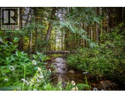 4pc Bathroom - 1750 Highway 23 South Highway S, Revelstoke, BC V0E2S0 Photo 6