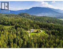 Kitchen - 1750 Highway 23 South Highway S, Revelstoke, BC V0E2S0 Photo 12