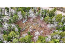 2320 Riverside Road, Green Creek, NS B0N2J0 Photo 6