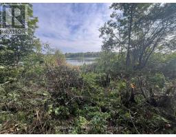 33 Third Street E, Timiskaming, ON P0J1G0 Photo 9