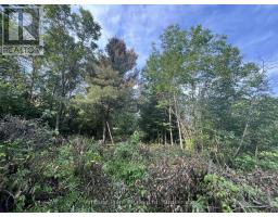 33 Third Street E, Timiskaming, ON P0J1G0 Photo 7