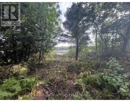 33 Third Street E, Timiskaming, ON P0J1G0 Photo 10