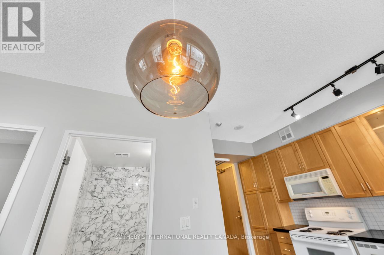 #207 70 ALEXANDER STREET - 30
