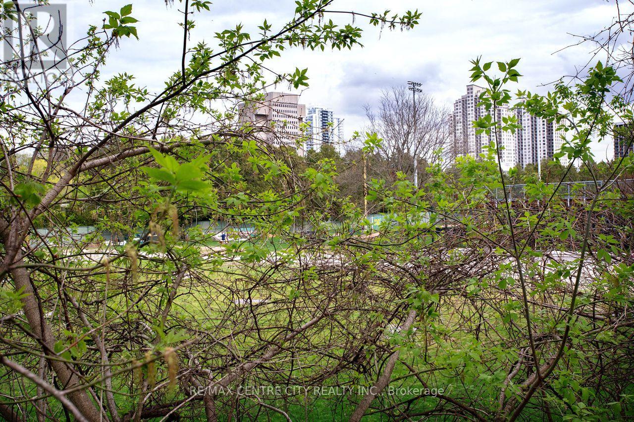 49 WILSON AVENUE - 43