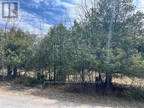 LOT 138 BOURNE ROAD - 6