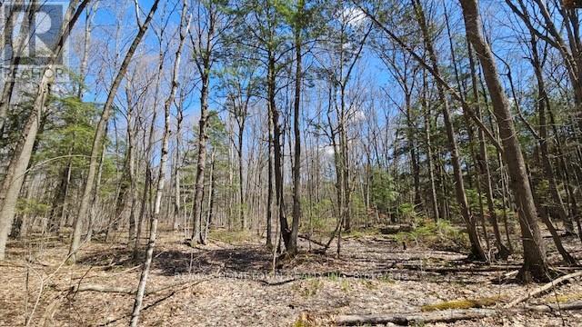 9604 MCKAY ROAD - 22
