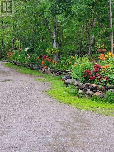 137 PICKEREL POINT ROAD - 36