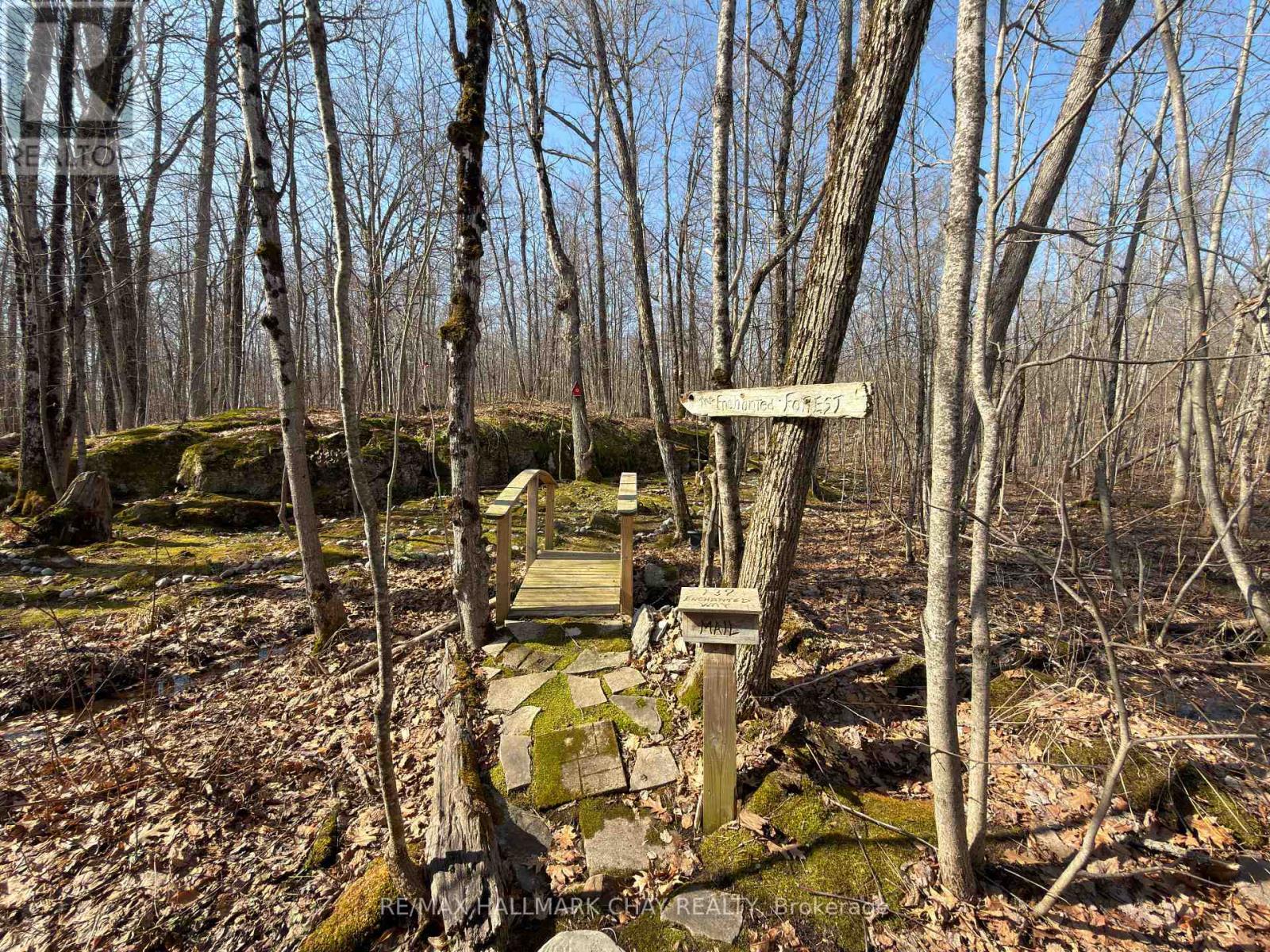 137 PICKEREL POINT ROAD - 37