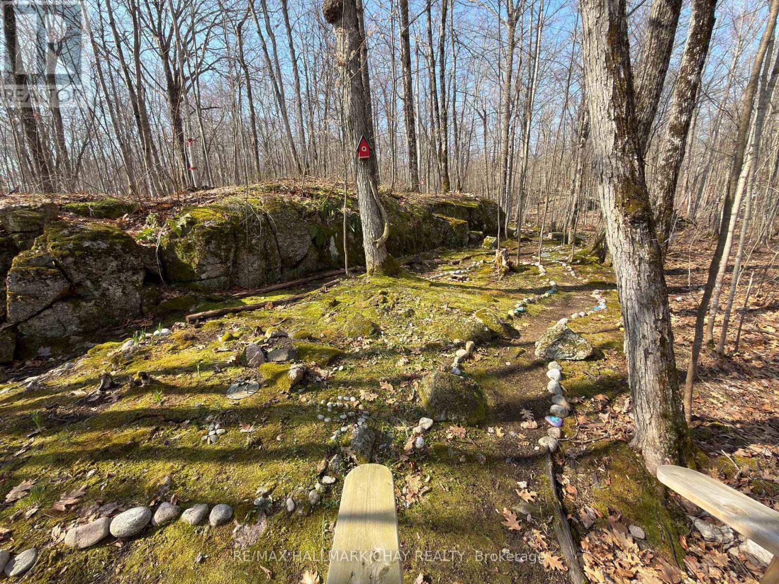 137 PICKEREL POINT ROAD - 38