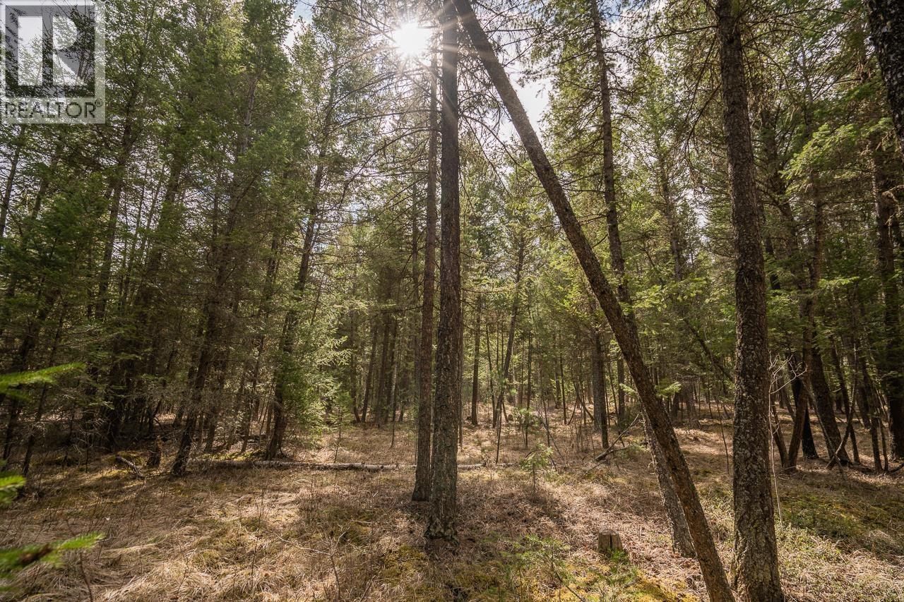 Lot 5 PARK PLACE, Lac La Hache