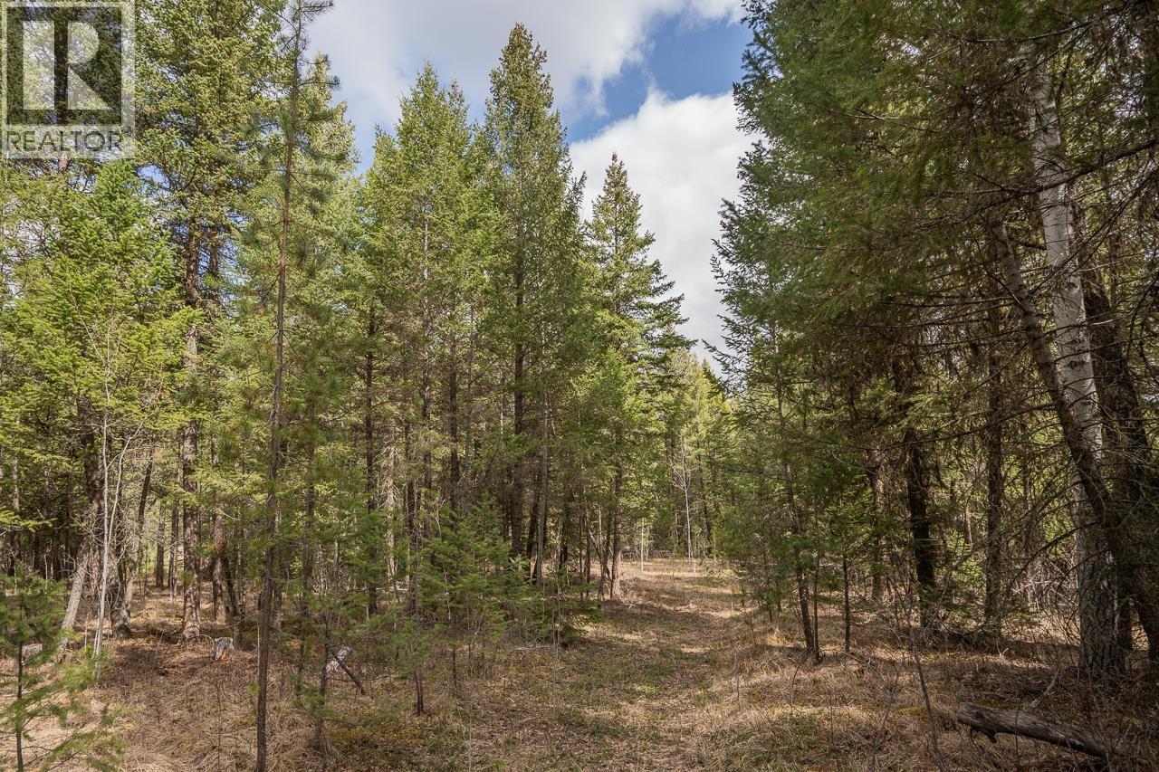 Lot 5 PARK PLACE, Lac La Hache